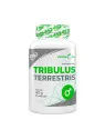 Tribulus Terrestris - Buzdyganek ziemny w kapsułkach - 90 kaps.
