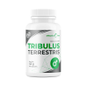 Tribulus Terrestris - Buzdyganek ziemny w kapsułkach - 90 kaps.