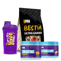 Promocyjny zestaw dla osób budujących masę mięśniową | Sklep 6PAK Nutrition