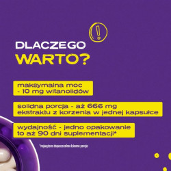 Ashwagandha - 90 kapsułek | Lepszy sen | Sklep 6PAK Nutrition