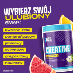 Creatine Monohydrate 300g | Kreatyna w proszku | Sklep 6PAK Nutrition