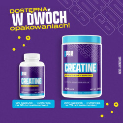 Creatine  - 120 kaps. | Monohydrat kreatyny | Sklep 6PAK Nutrition